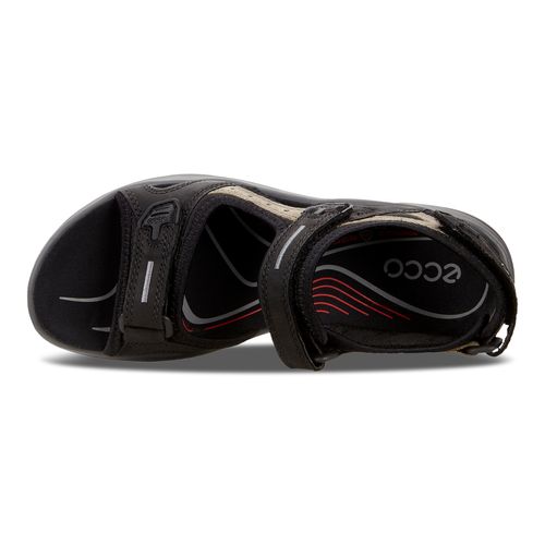 Ecco Offroad Black/Mole